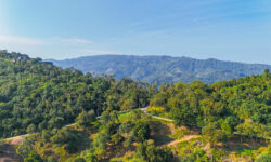 PANORAMIC SEA AND MOUNTAIN VIEWS LAND IN BOPHUT